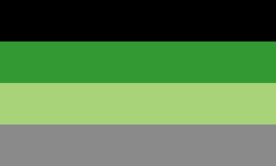 Aro (1) - @beyond-mogai-pride-flags.png