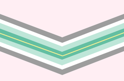 Paragender Chevron 1.png