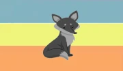 Bandera.foxpan