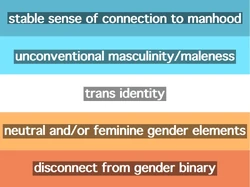 Genderqueer guy flag meanings.jpg