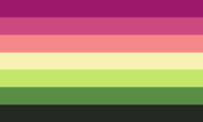 Aro Lesbian (3)