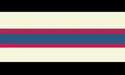 Cupiopunk flag.jpg