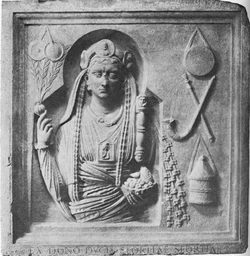 Grave gallus 1.jpg