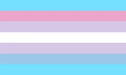 AMAB Bigender 2.png