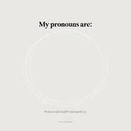 Undertsanding pronouns blank