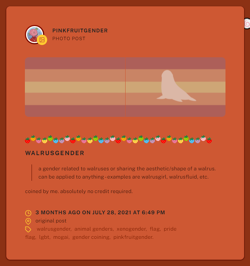 Walrusgender coining.PNG