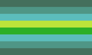 Hyladetenic Flag Blank