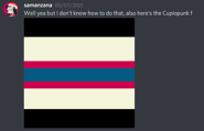 Cupiopunk flag coining 07-05-2021