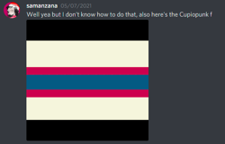Cupiopunk flag coining 07-05-2021.PNG