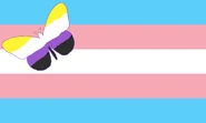 Antransgendernonbinary