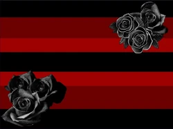 Darkrosegenderflag.png