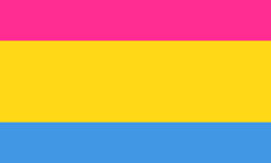 Pan- (neutral leaning).png
