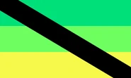 Apora