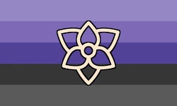 Orchidplurelic flag (simplified).png