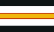 Ninjagogender flag without
