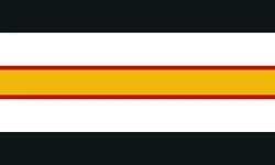 Ninjagogender flag without.png