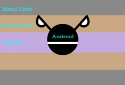CYBORGGENDER FLAG MEANING.png