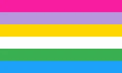 Polyromantic Pansexual Genderqueer.png