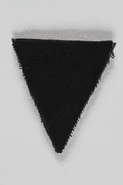 Black triangle badge