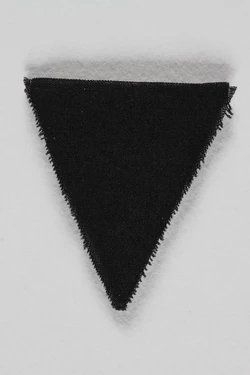 Black triangle badge.jpg