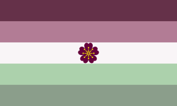 Trans Aspec Diamoric (2).png