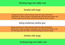 Buggender flag meaning.png