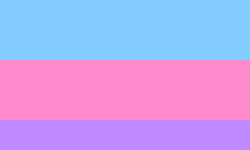 Bisensual Feminine Masculine Leaning.png