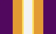 Ametrinegender