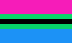 Black Poly-.png