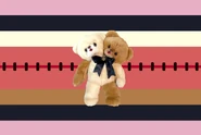 Twinplushgender