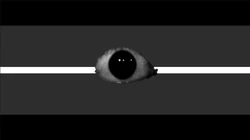 Creep System Flag 1.png