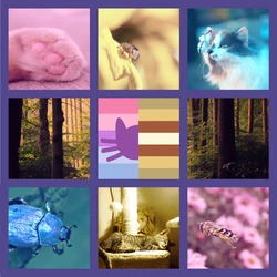 Catgender buggender moodboard.jpg