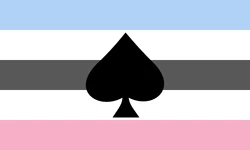 Asexual Biromantic.png