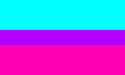 Bin-.png