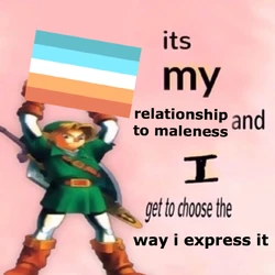 Genderqueer guy meme.jpg