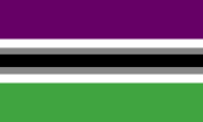 Aromantic Asexual (9)