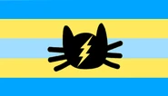 Electrocatgender