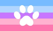 Catgender by jellyjeepop.jpeg (17 KB) Catgender by jellyjeepop