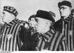 Prisoner Wearing Triangle.jpg