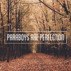 Paraboys Are Perfection Graphic.jpeg