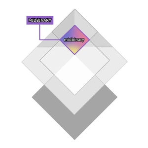 MIDBINARY juxtaposition.png