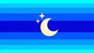 Nocturnalromantic flag