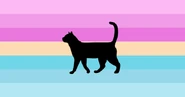 Catgender by unknown.png (19 KB) Catgender by unknown