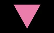 Pink Triangle Flag