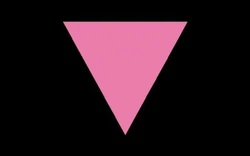 Pink Triangle Flag.jpg