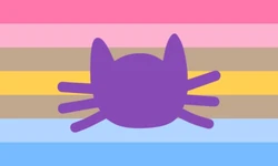 Pancatgender.jpg
