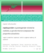 Raphagender coining