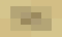 Birchplankscrafted.png
