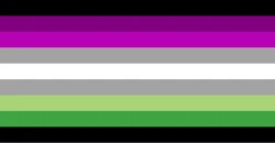 Aroace aspec flag.jpg