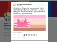 Strawberrycatgender coining